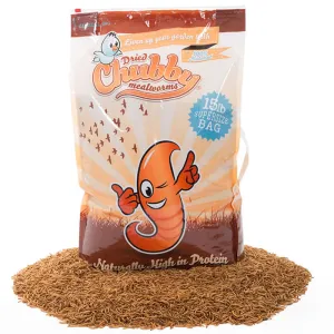 15 lbs. Chubby Mealworms