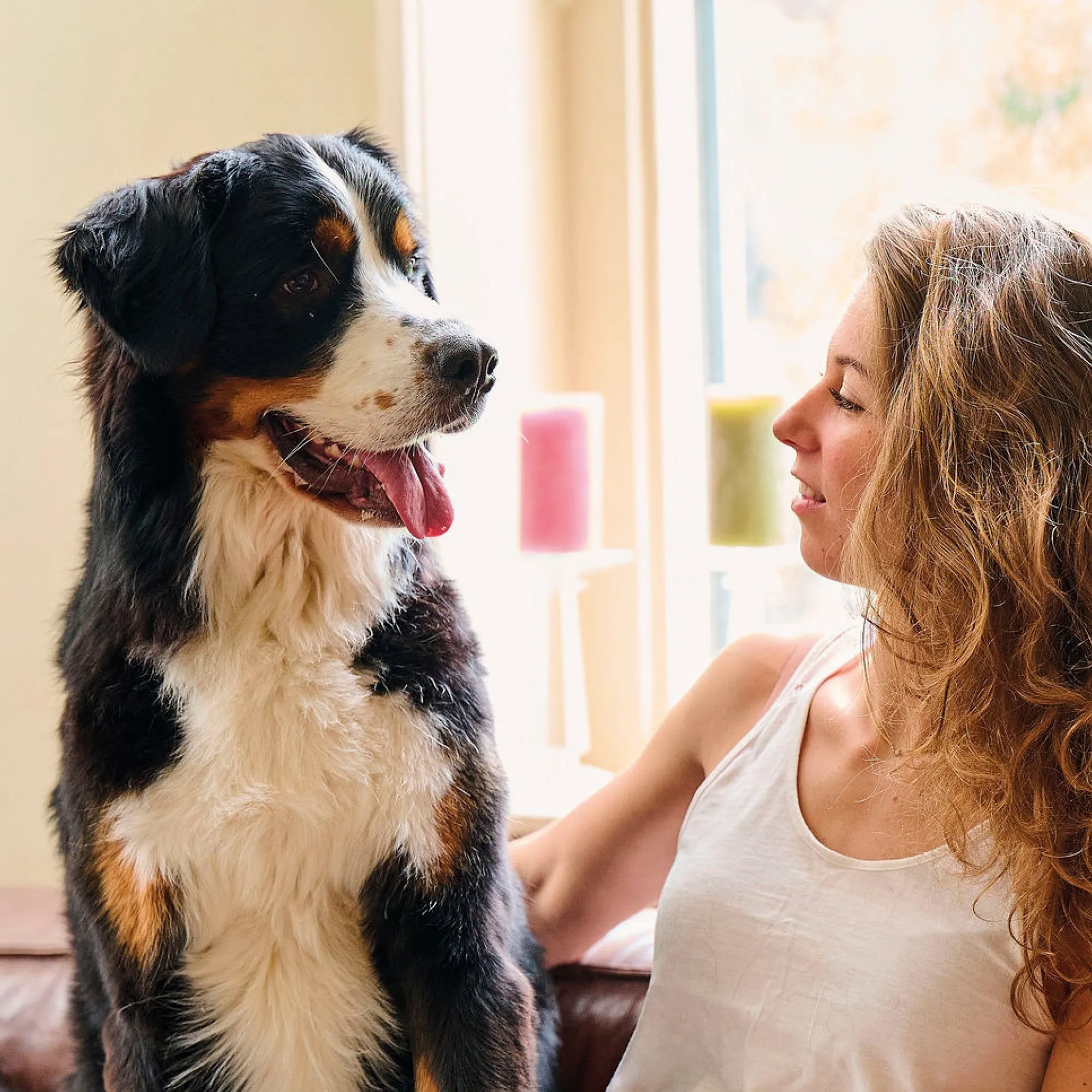 Beaphar | Dental Treats | Fresh Breath Natural Chlorophyll Snacks