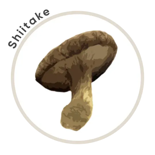 Brazilian Ground Mushroom Coffee - La Republica