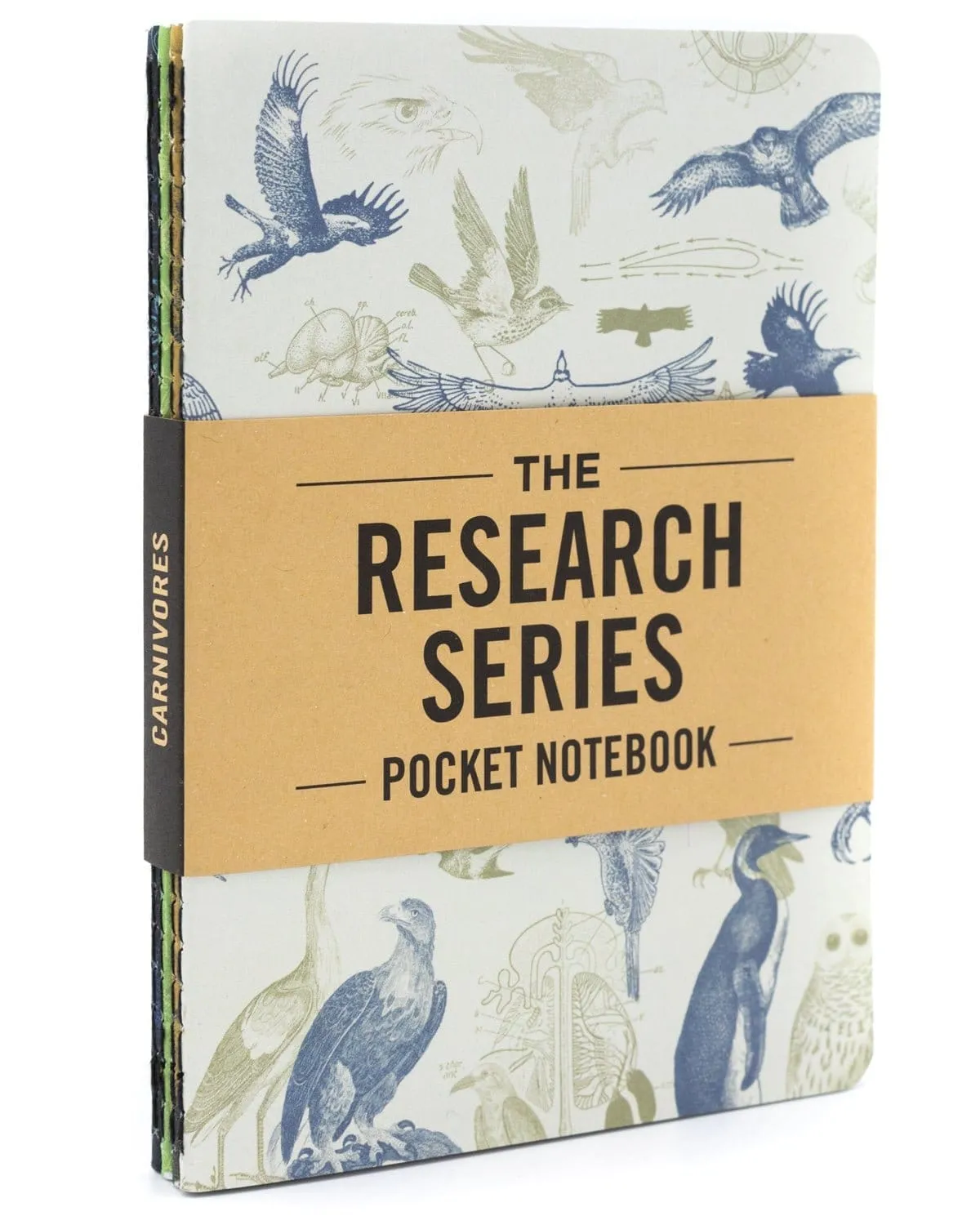Carnivores Pocket Notebook 4-pack