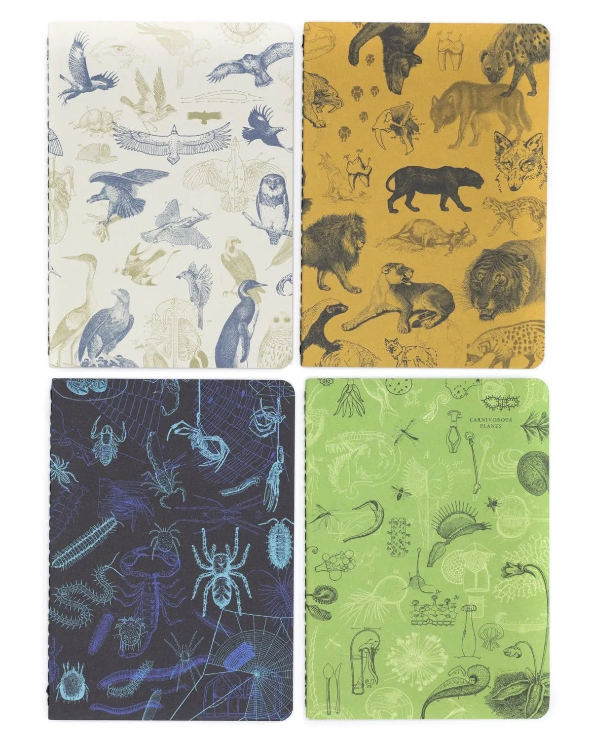 Carnivores Pocket Notebook 4-pack