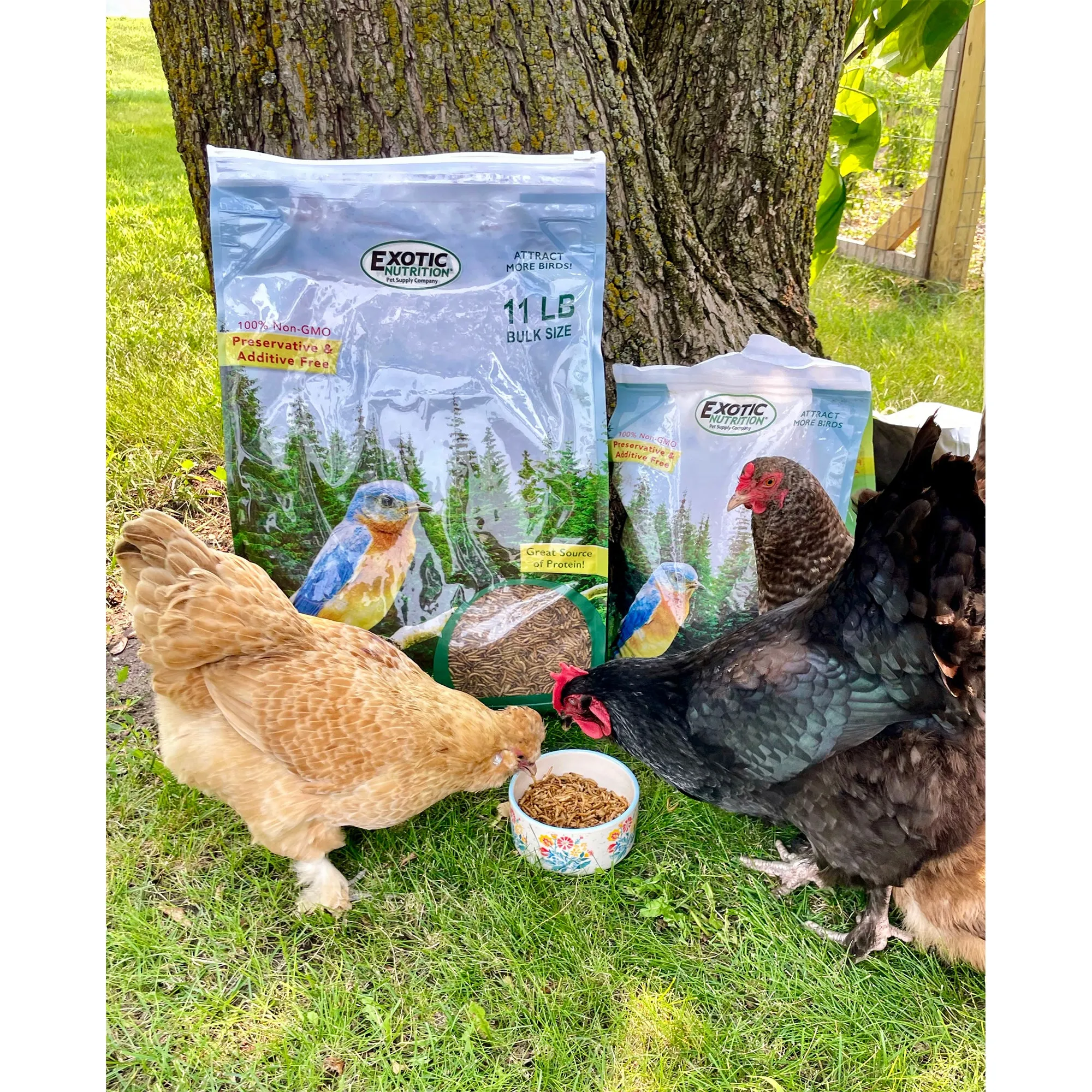 Dried Mealworms 2 lb.