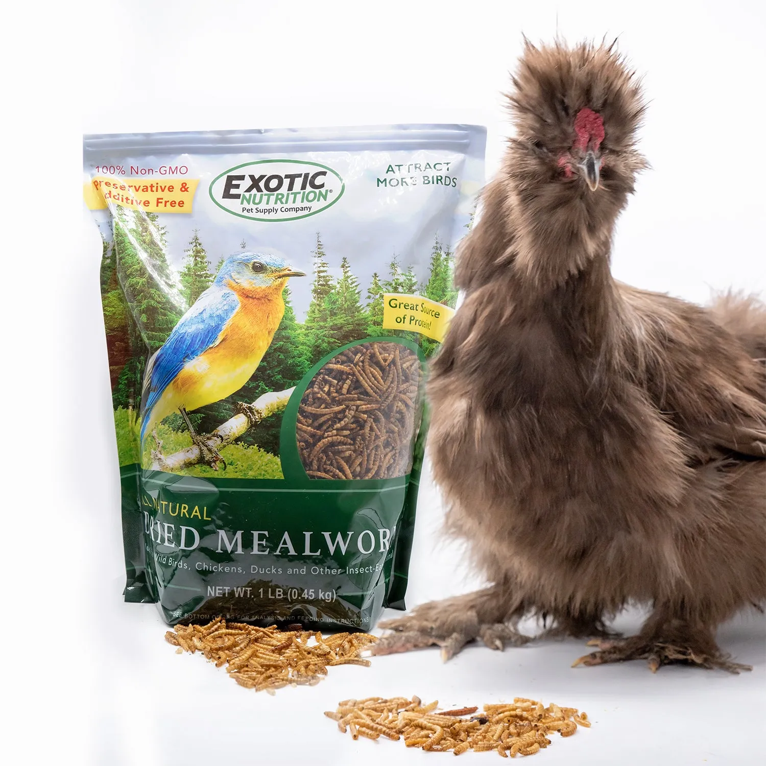 Dried Mealworms 2 lb.