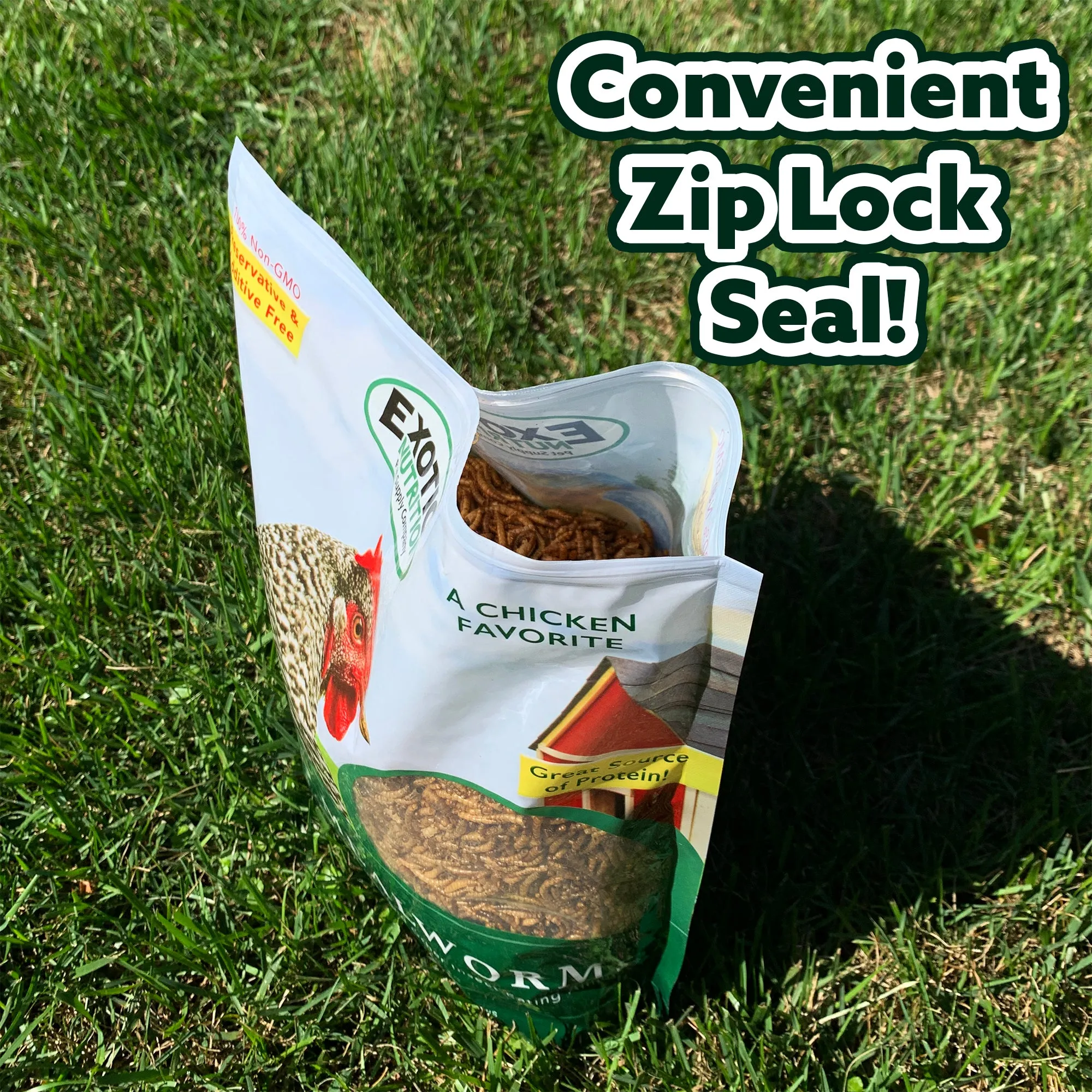 Dried Mealworms 2 lb.