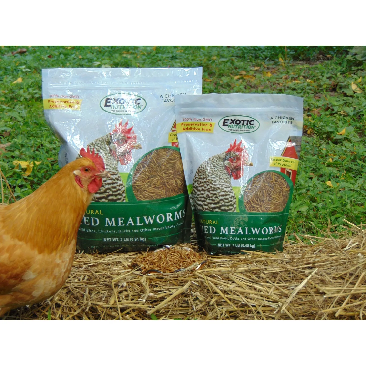 Dried Mealworms 2 lb.