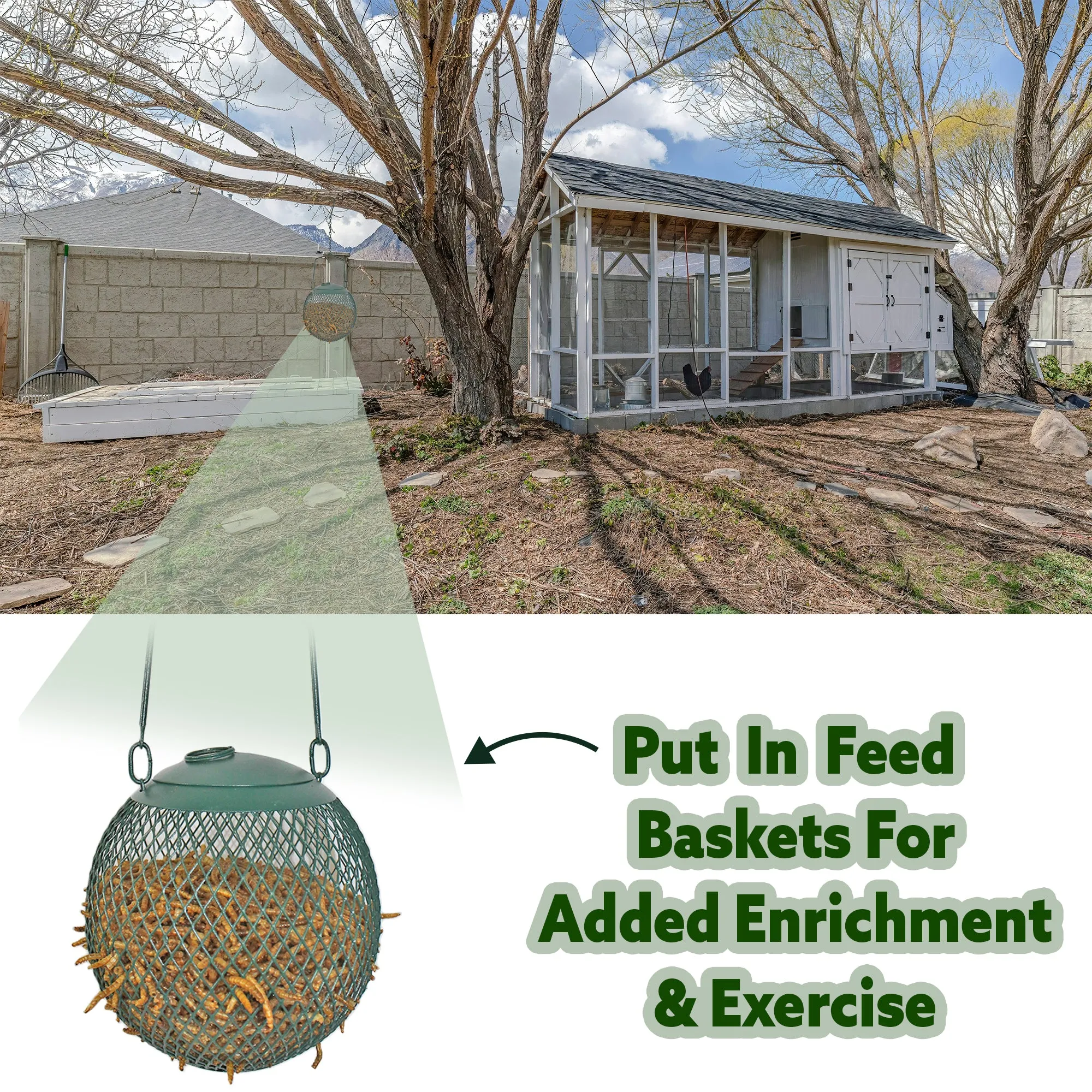 Dried Mealworms 2 lb.