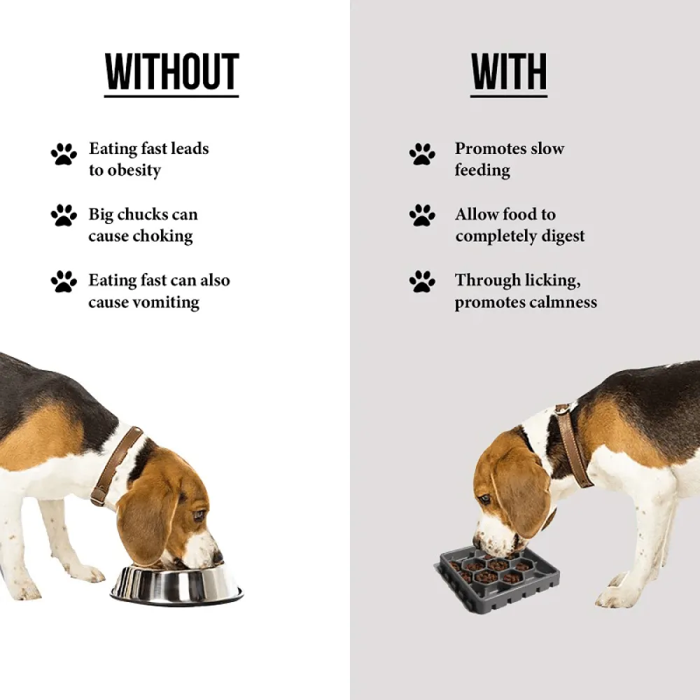 Goofy Tails Lick Mats & Slow Feeder for Dogs and Cats