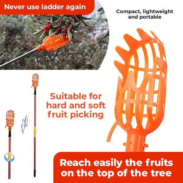 Kuster - Fruit picker tool