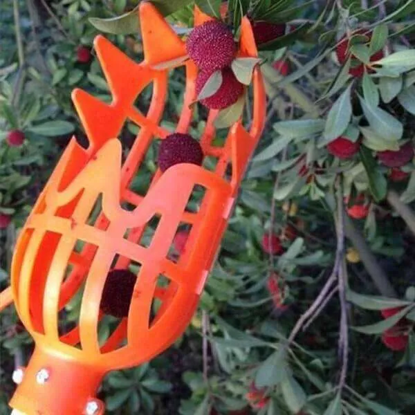 Kuster - Fruit picker tool